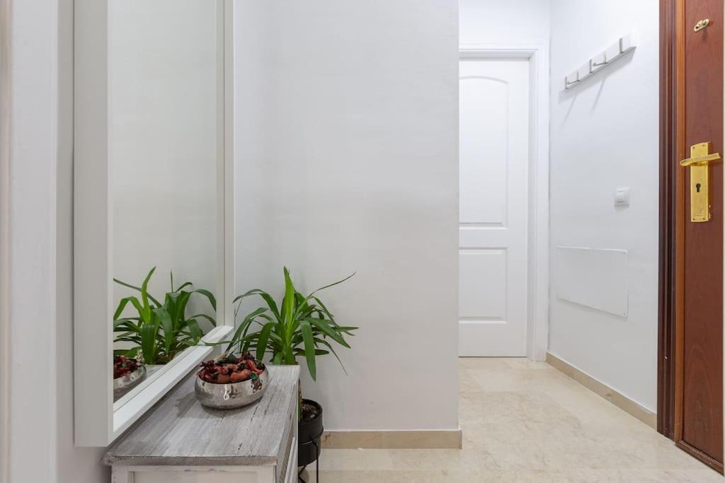 Apartamento Suite Centrico Malaga Exterior photo